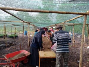 UNJA Kembangkan Kopi Liberika dan Mangrove  