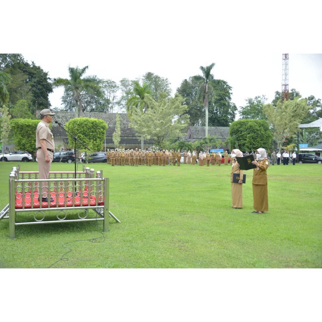 Tenaga Honorer Resmi Dihapus Mulai 28 November, Ini Strategi Pemkot Jambi