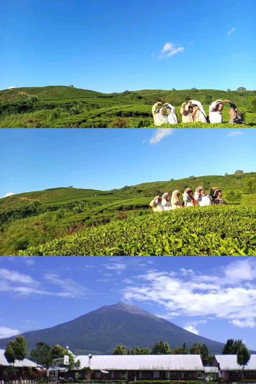 Menikmati Keindahan Kebun Teh Dan  Gunung Merapi Di Kayu Aro Kerinci Jambi