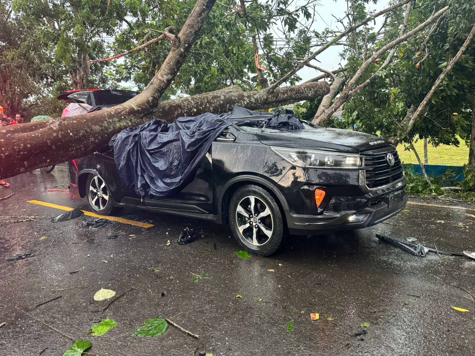 Kanit Dalmas Polres Tanjabtim Tewas Tertimpa Pohon Saat Mengemudi Inova Reborn