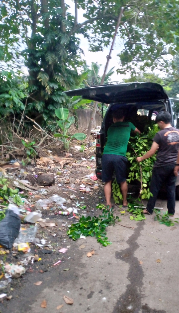 Sampah Menyambut di Gerbang Terminal: Jeritan Sunyi Warga Lorong Syech Mahmud