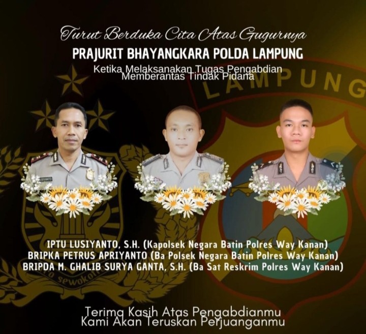 Kapolda Lampung Terjun ke TKP: 3 Polisi Tewas Ditembak Saat Gerebek Judi Sabung Ayam