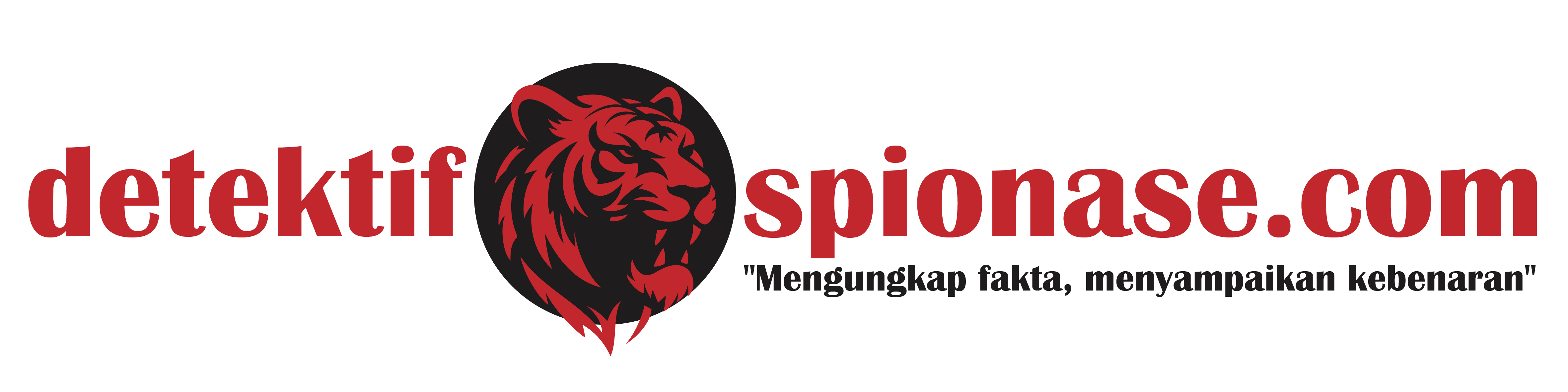 detektifspionase.com